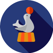 Seal PNG Icon