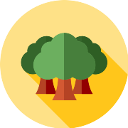 Forest Tree PNG Icon