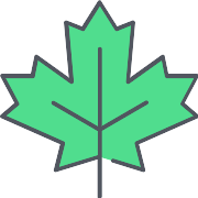 Maple Leaf Leaf PNG Icon