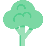 Broccoli PNG Icon
