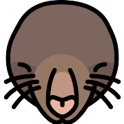 Mole PNG Icon