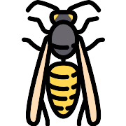 Wasp PNG Icon