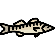 Zander Fish PNG Icon