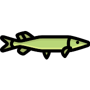 Pike Fish PNG Icon