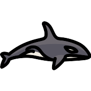 Orca PNG Icon