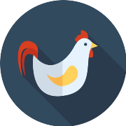 Rooster PNG Icon
