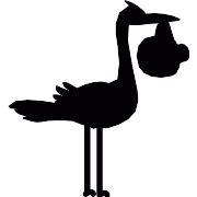 Stork With Baby PNG Icon