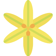 Sisyrinchium PNG Icon
