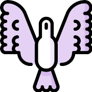 Freedom PNG Icon