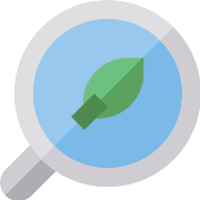 Zoom Leaf PNG Icon