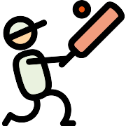 Cricket PNG Icon
