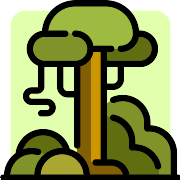 Rainforest PNG Icon