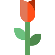 Rose Flower PNG Icon
