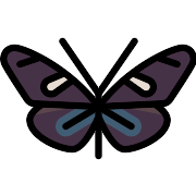 Butterfly PNG Icon