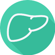 Liver PNG Icon
