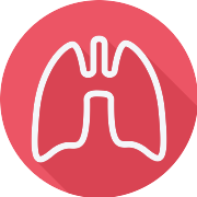 Lungs Lung PNG Icon