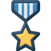 Chevron Rank PNG Icon