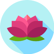 Lotus PNG Icon