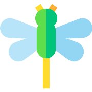 Dragonfly Insect PNG Icon