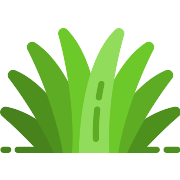Grass PNG Icon