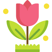 Tulip PNG Icon