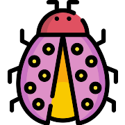 Ladybug PNG Icon