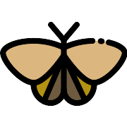 Moth PNG Icon