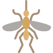 Mosquito Vector Svg Icon 15 Png Repo Free Png Icons