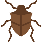 Beetle PNG Icon