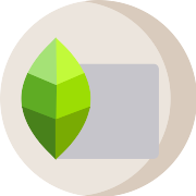 Snapseed PNG Icon