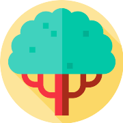 Trees Forest PNG Icon