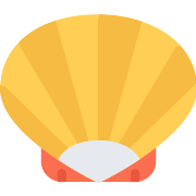 Shell PNG Icon