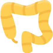 Colon PNG Icon