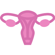 Uterus PNG Icon