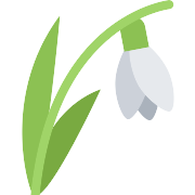 Daffodil PNG Icon