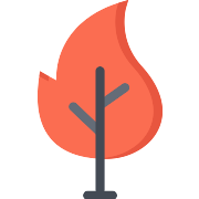 Fire Flame PNG Icon