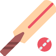 Cricket PNG Icon