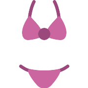 Bikini PNG Icon