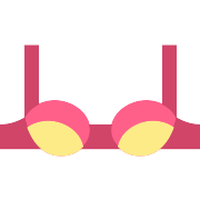 Brassiere Underwear PNG Icon