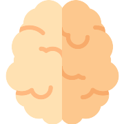 Brain PNG Icon