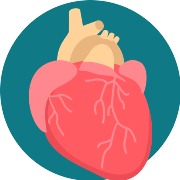 Heart Transplant PNG Icon