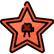 Hollywood Star Hollywood Star PNG Icon
