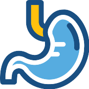 Stomach PNG Icon