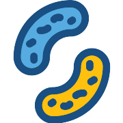 Cells Cell PNG Icon