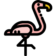 Flamingo PNG Icon