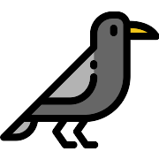 Crow PNG Icon