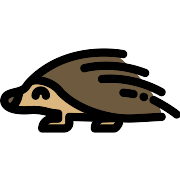 Porcupine PNG Icon