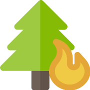 Forest Fire PNG Icon