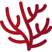 Coral PNG Icon