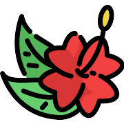 Flower PNG Icon